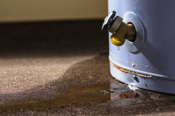 Best Local water damage restoration  in Stratford Downtown, CT