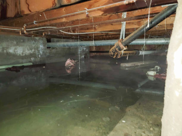 Best 24-hour water damage restoration  in Stratford Downtown, CT