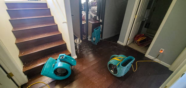 Best Water damage contractors near me  in Stratford Downtown, CT