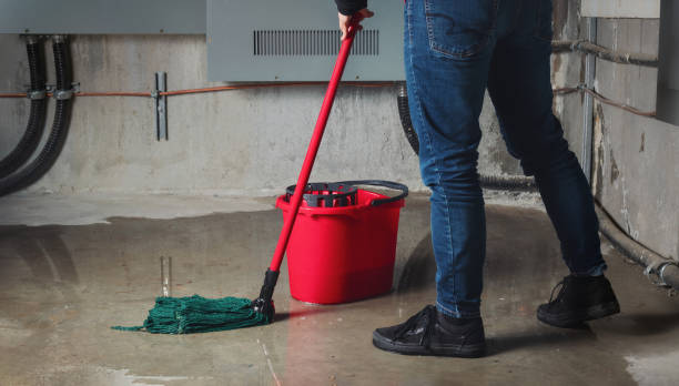 Best Mold removal after water damage  in Stratford Downtown, CT