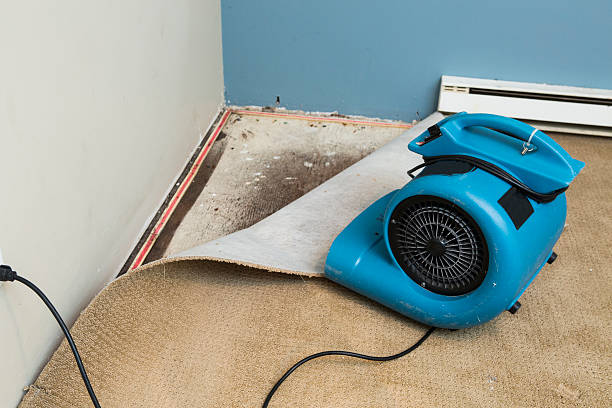 Water damage restoration experts in CT